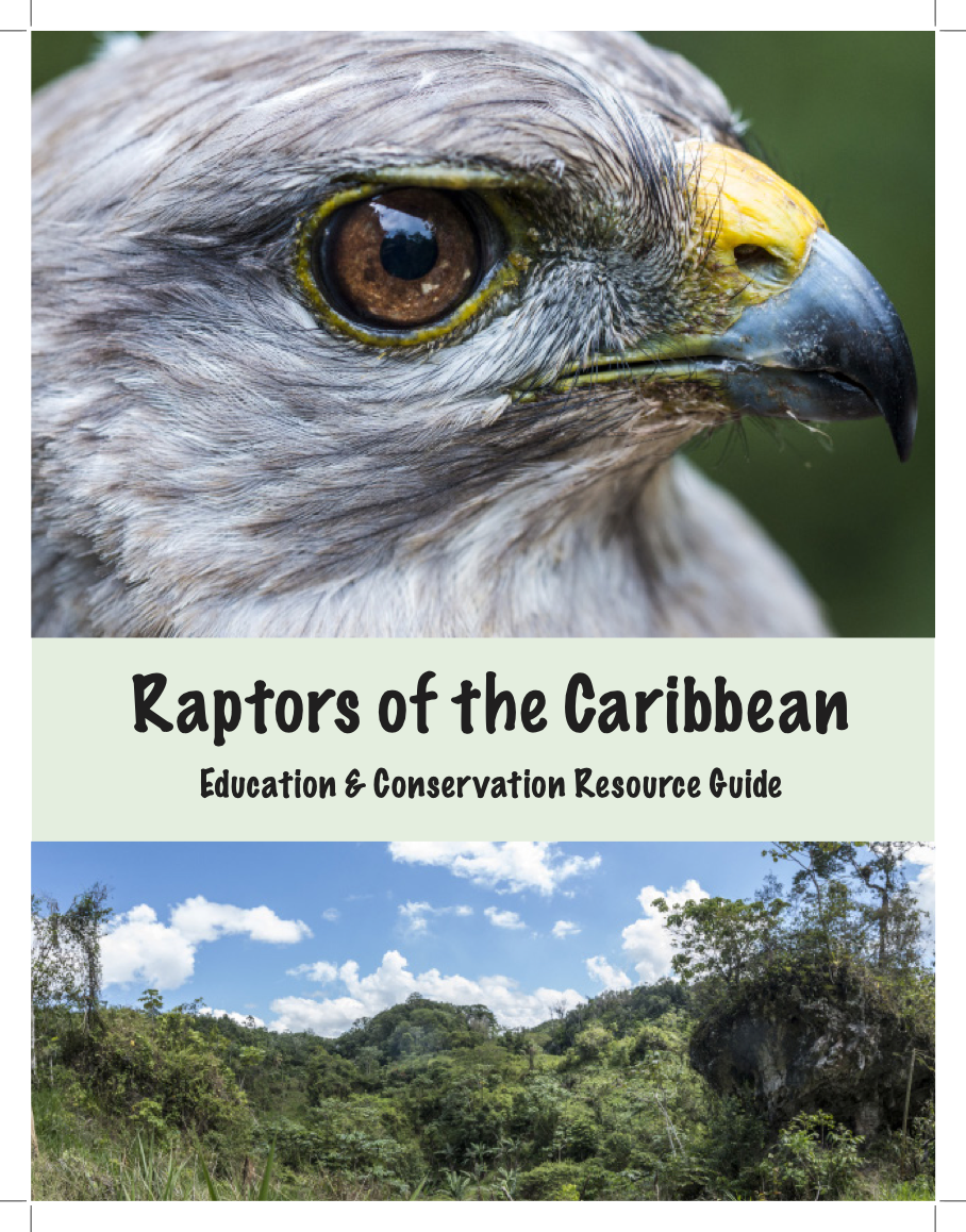 Close-up of a Caribbean raptor, such as a hawk or eagle, with detailed feathers and a sharp beak, over a background of lush greenery and a partly cloudy sky.