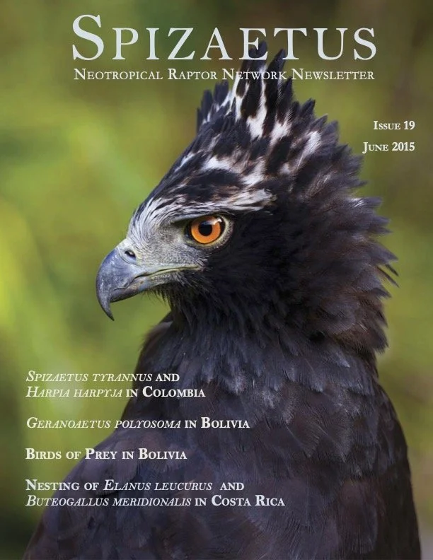 Spizaetus #19 — June 2015