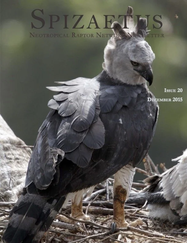 Spizaetus #20 — December 2015