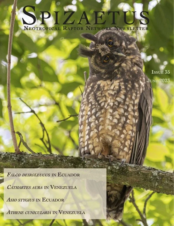 Spizaetus #35 — June 2023