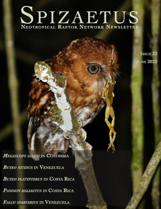 Spizaetus #33 — June 2022