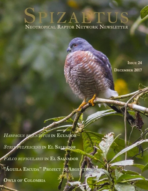 Spizaetus #24 — December 2017
