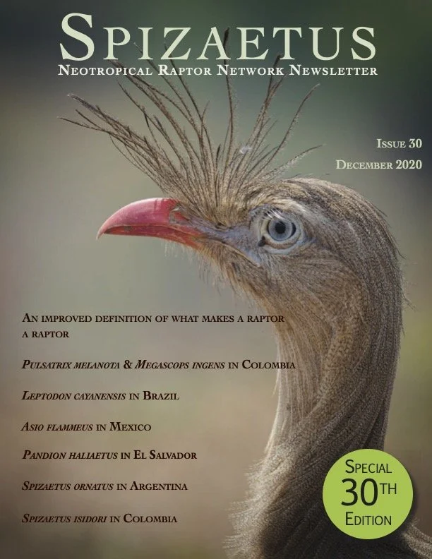 Spizaetus #30 — December 2020