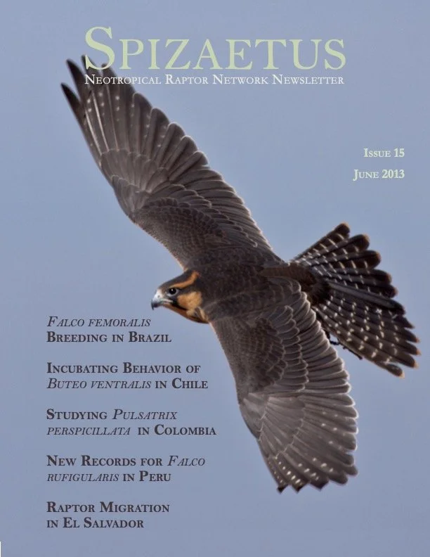 Spizaetus #15 — June 2013