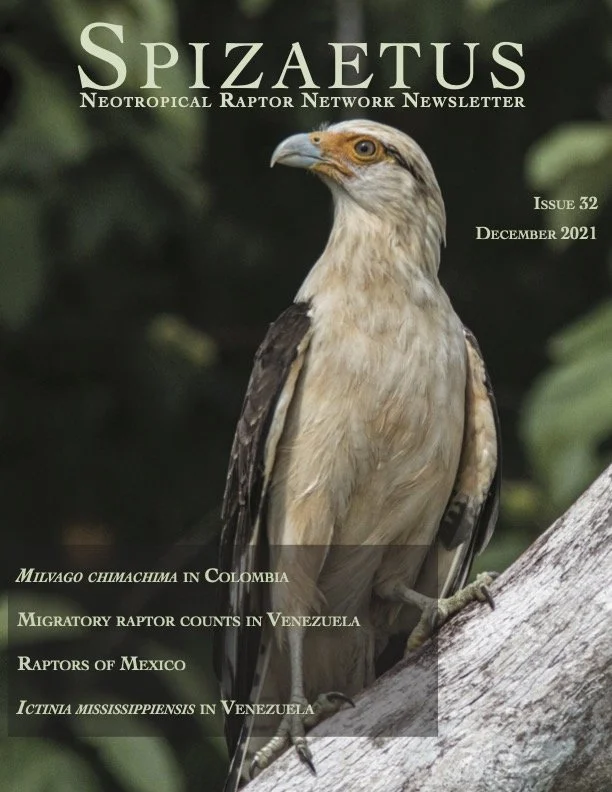Spizaetus #32 — December 2021