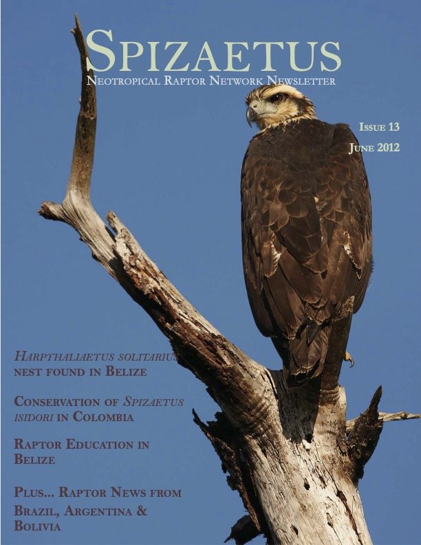 Spizaetus #13 — June 2012