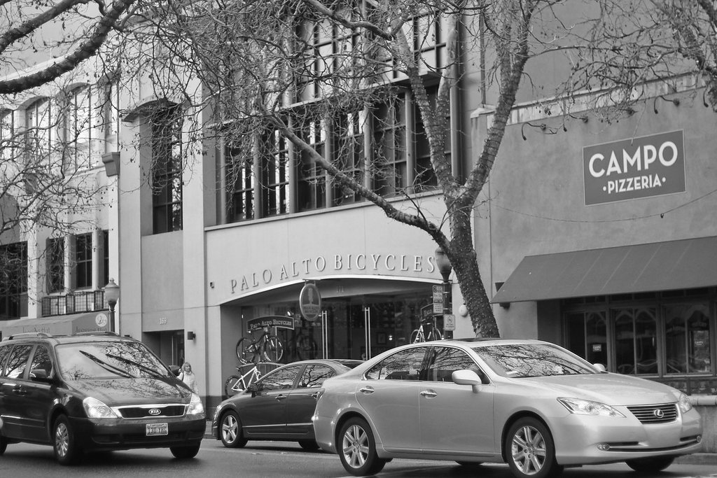 Street scene in Palo Alto featuring parked cars, a bicycle shop called Palo Alto Bicycles, a tree, and a pizzeria named Campo.