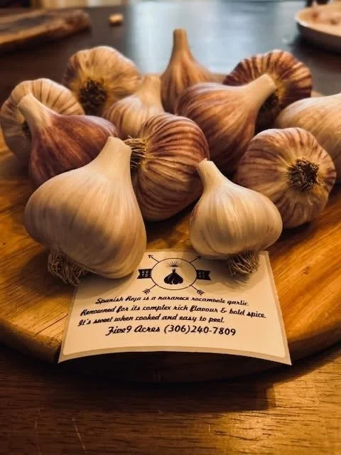 Spanish Roja - Garlic