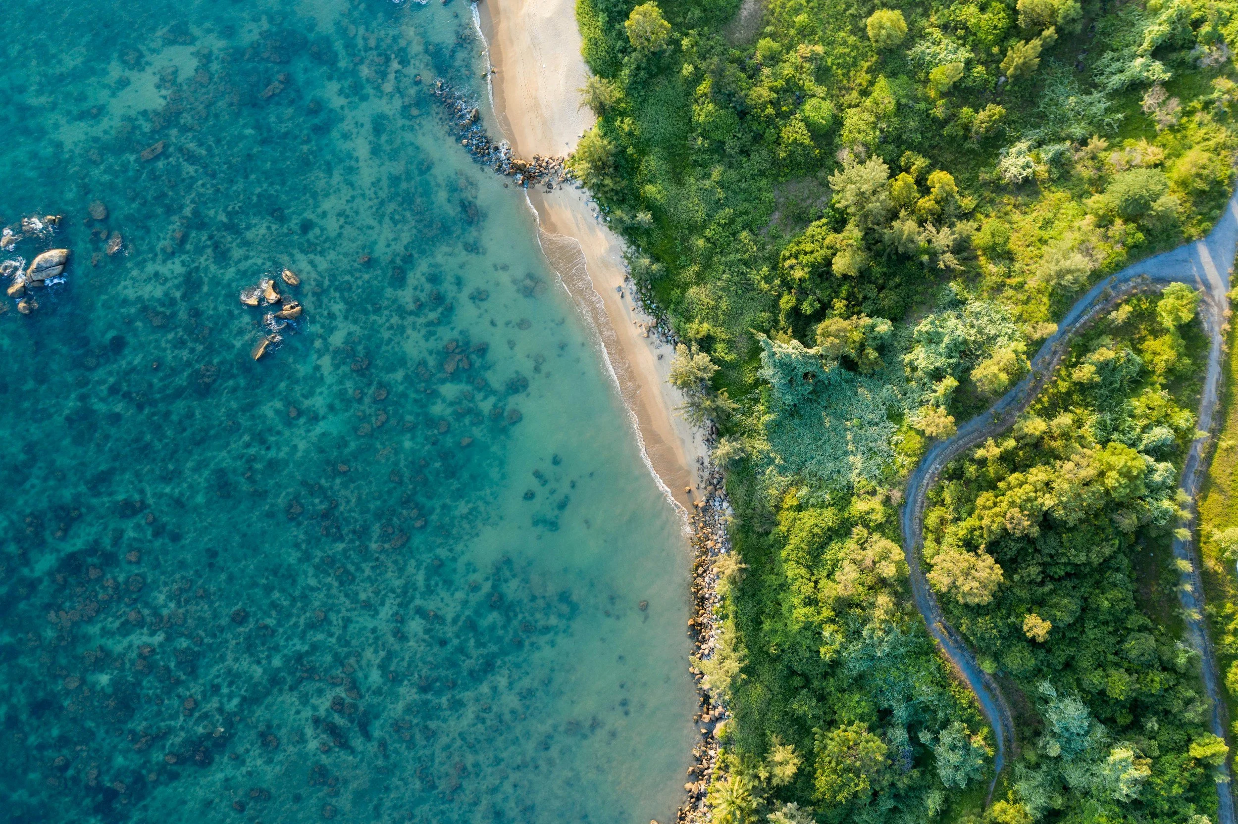 An aerial view of a Vietnamese coastline featuring turquoise ocean water on the left and lush green trees and a winding road on the right.