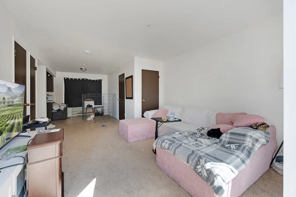 A living room with a pink sofa covered with a gray blanket, a small side table, a TV on a wooden stand, and a black dog lying on the sofa. In the background, there is a black curtain, an open door, and a pet enclosure with a cat inside.