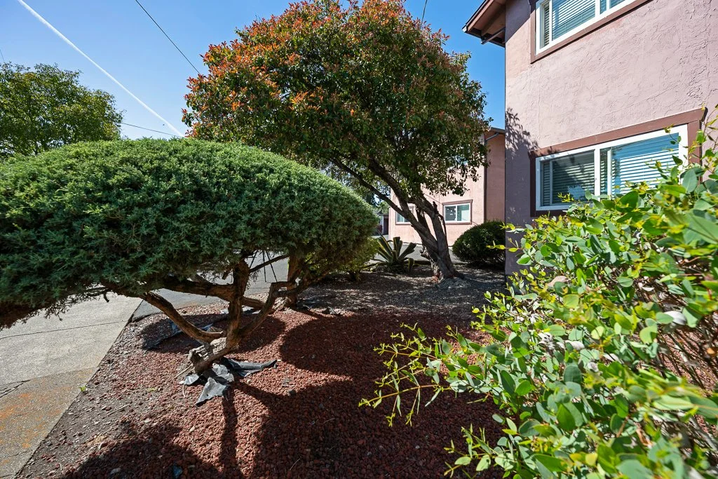 A small well-maintained front yard with various bushes and trees next to a pink apartment building, under a clear blue sky.