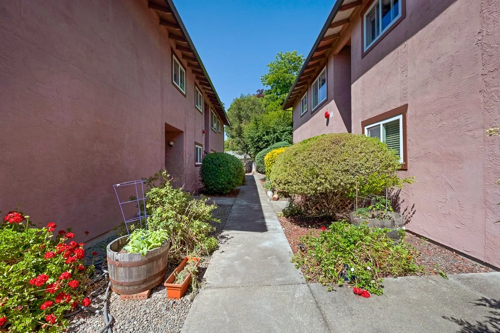 A narrow outdoor pathway between two multi-story pink stucco residential buildings with small windows. The pathway is bordered by manicured bushes and flower pots with blooming plants, under a clear blue sky.