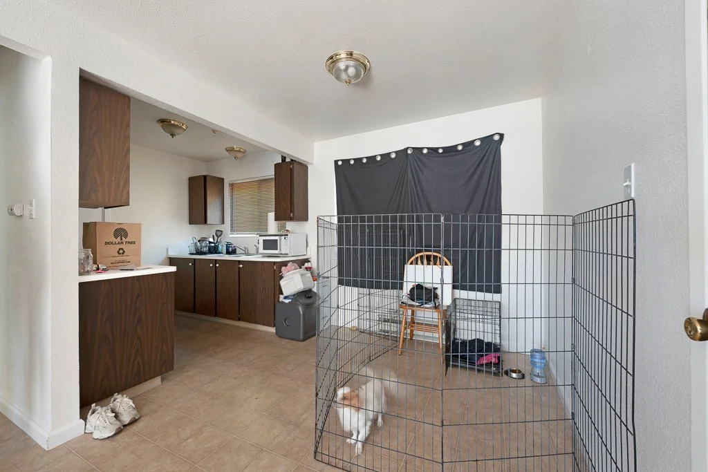Interior view of a home with a kitchen area, a black fabric curtain on the wall, and a metal pet playpen with a dog and various pet supplies inside.