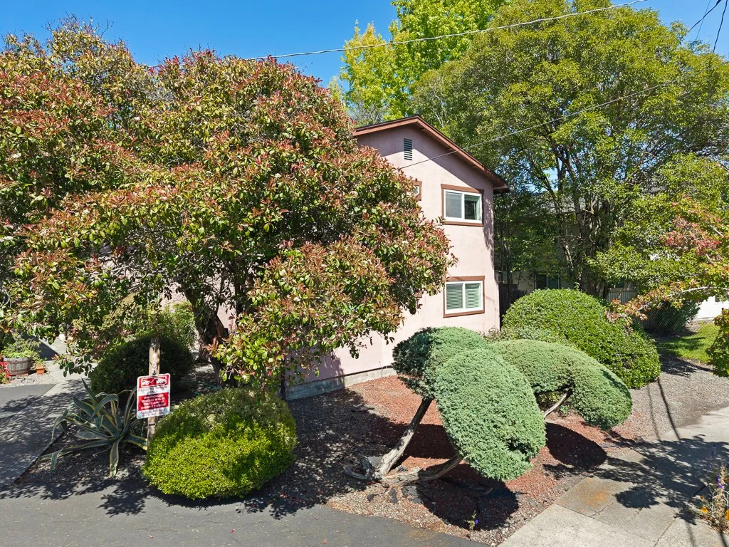 A pink two-story house surrounded by lush green trees and bushes, with a clear blue sky overhead.