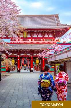 Tokio, Kioto y Ruta Nakasendo