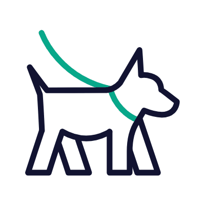 Outline of a dog with a teal leash