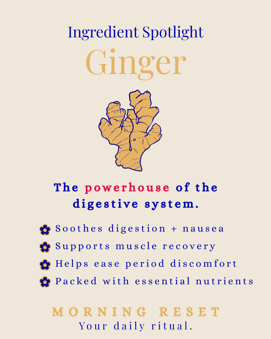 Poster highlighting ginger as an ingredient, featuring a ginger root illustration and text describing its benefits for digestion, muscle recovery, period discomfort, and nutrition, promoting a morning reset ritual.