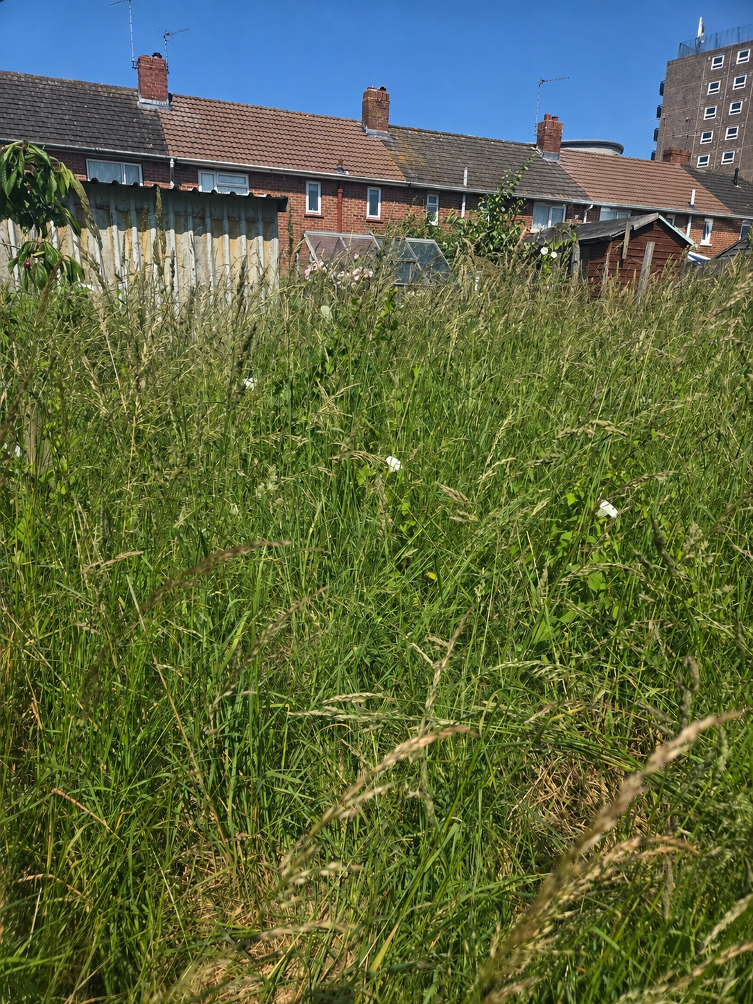 garden and site clearance