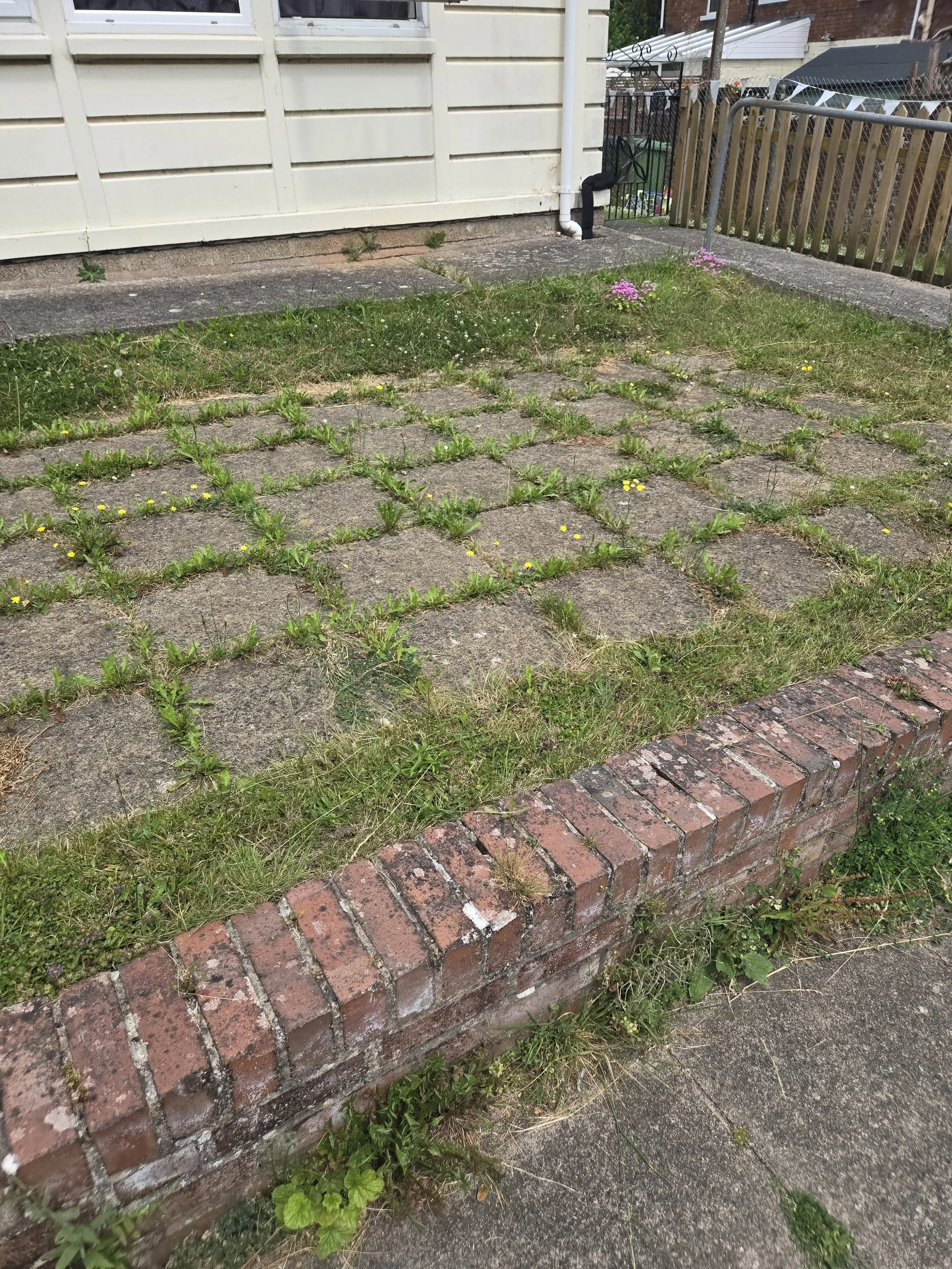 herbicide & weed control