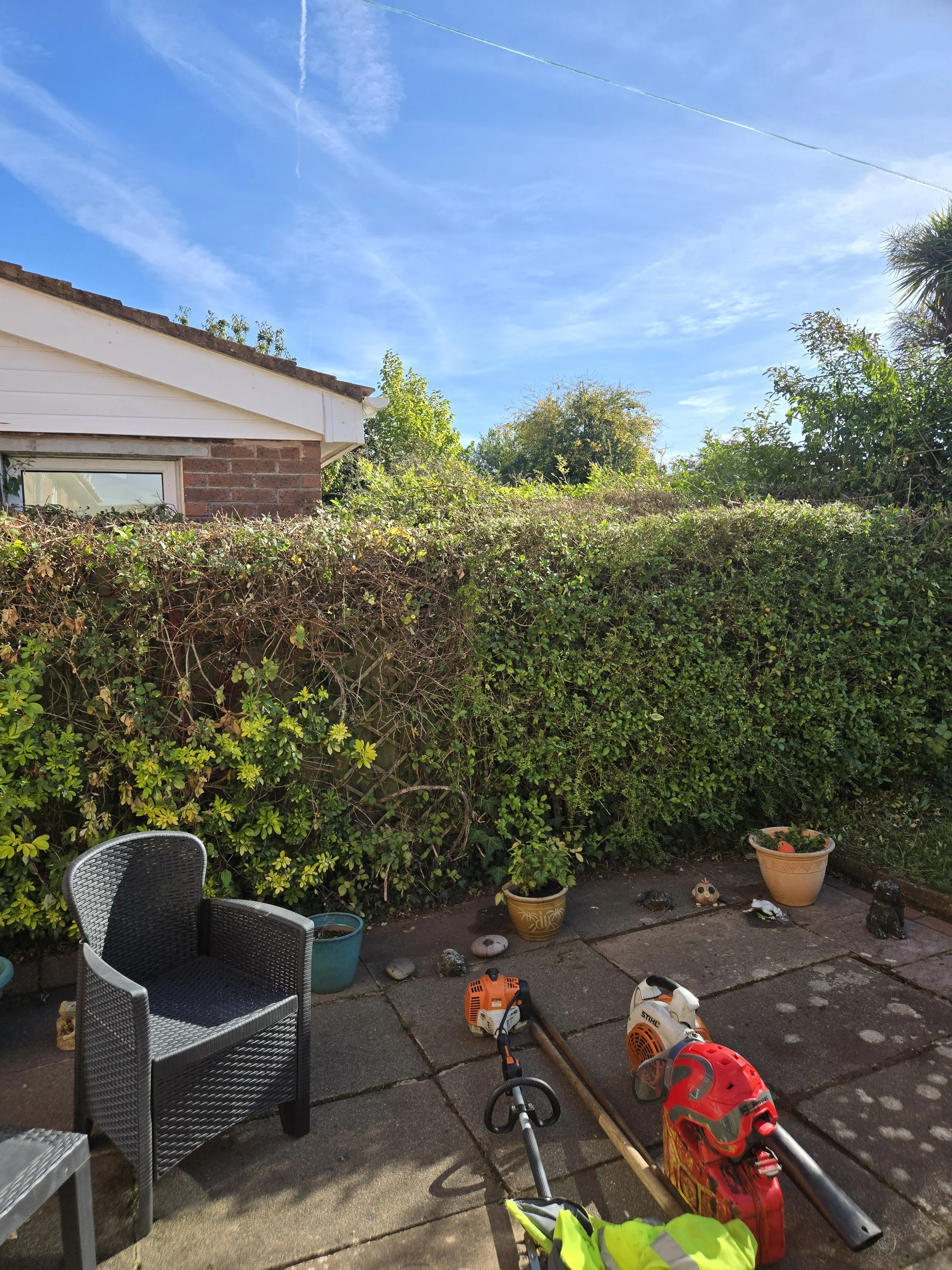 hedge management