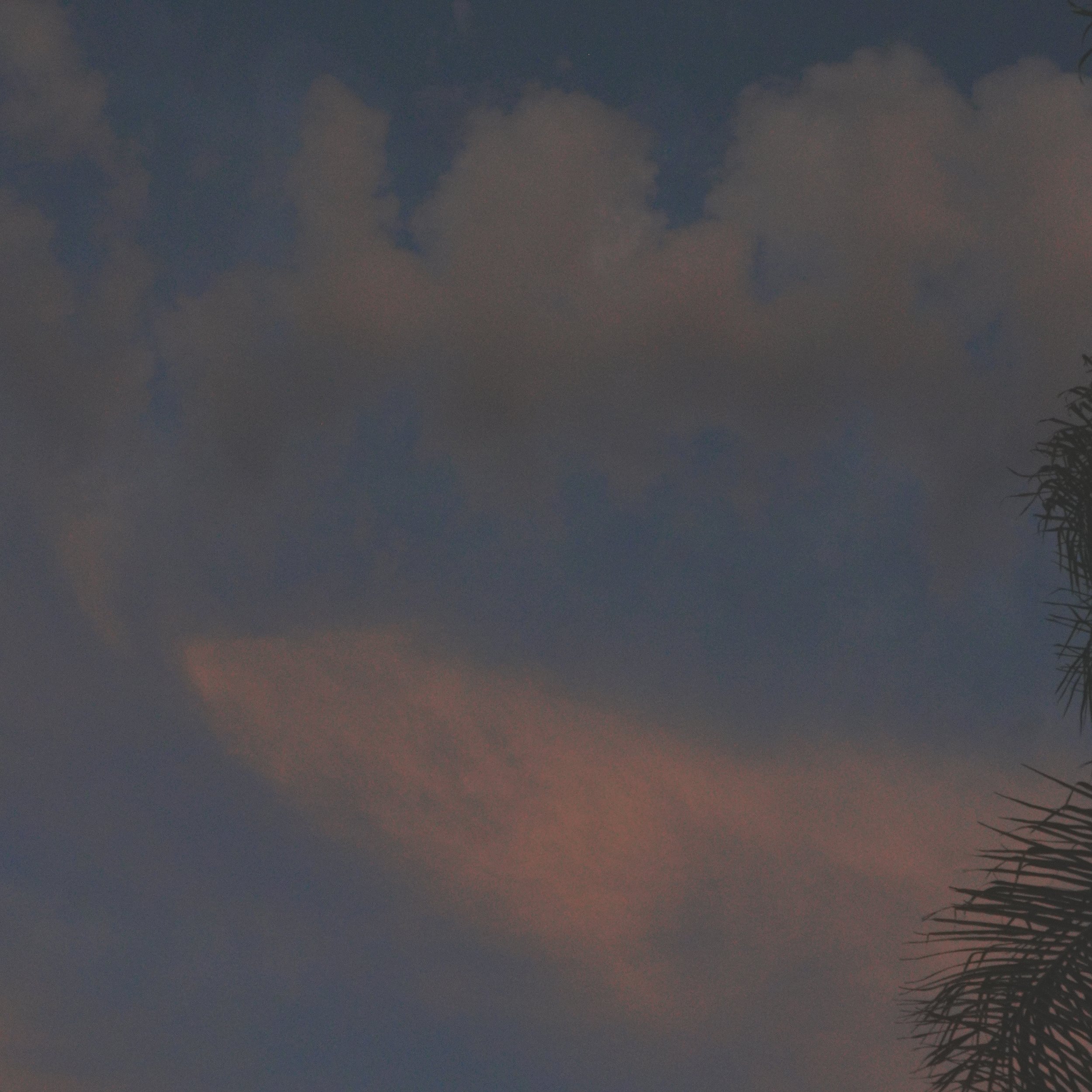 DSC02113.jpeg