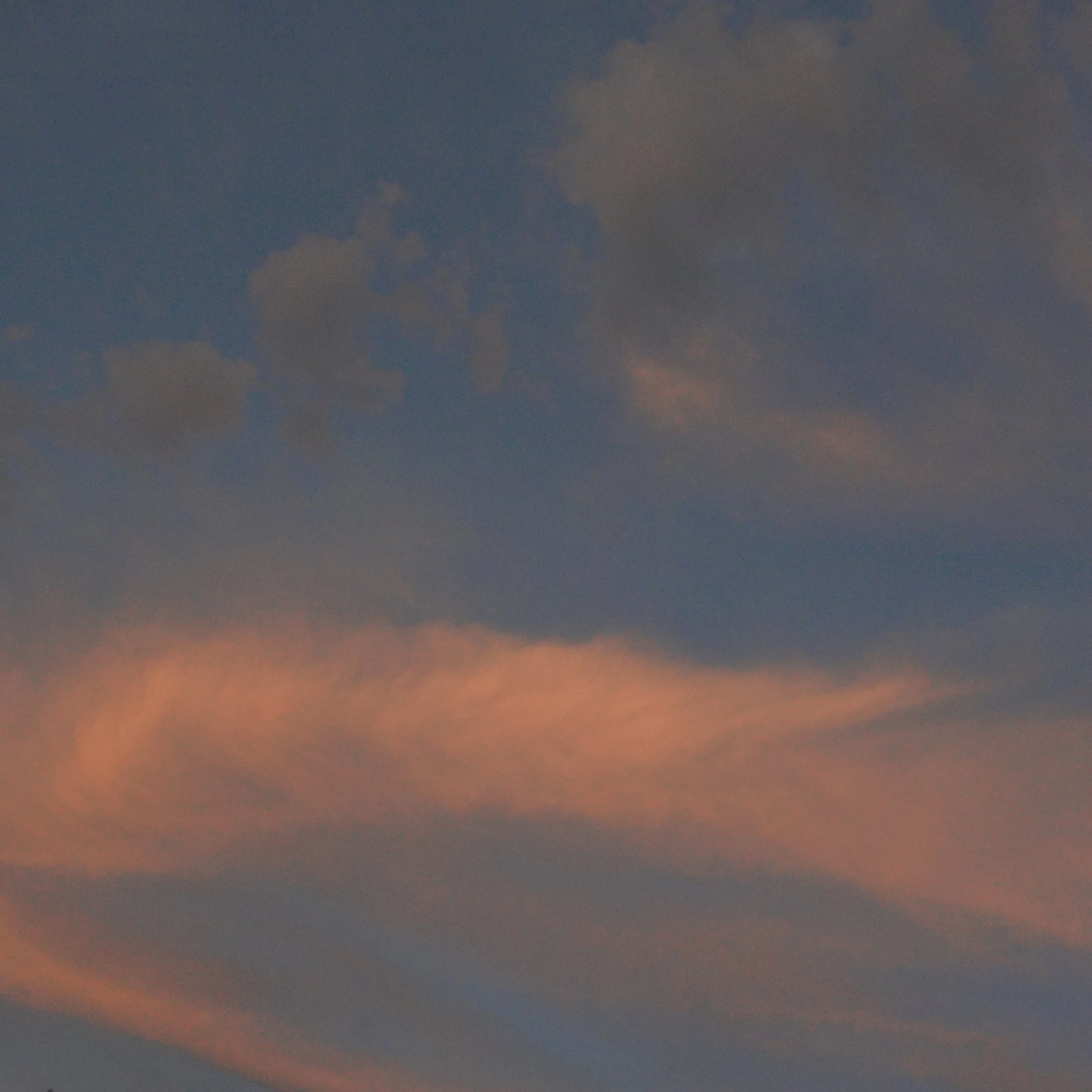 DSC02108.JPG