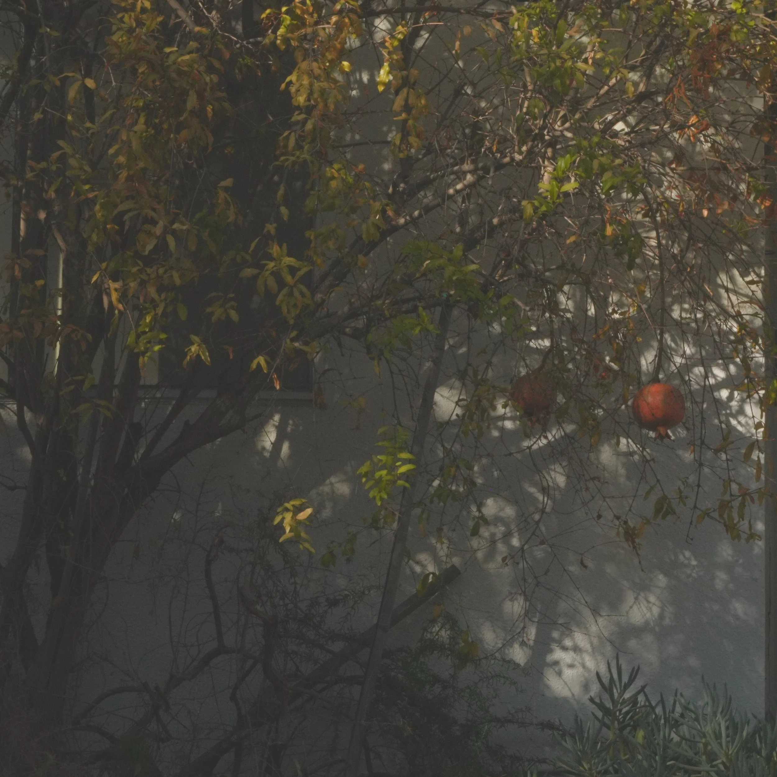 DSC01932.jpeg