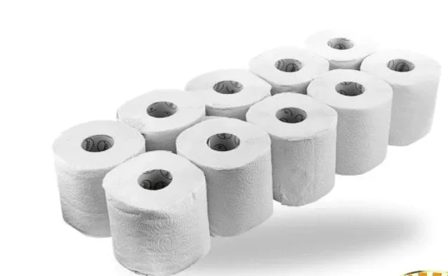 Hollow-Core Toilet Paper - 10rolls/sleeve