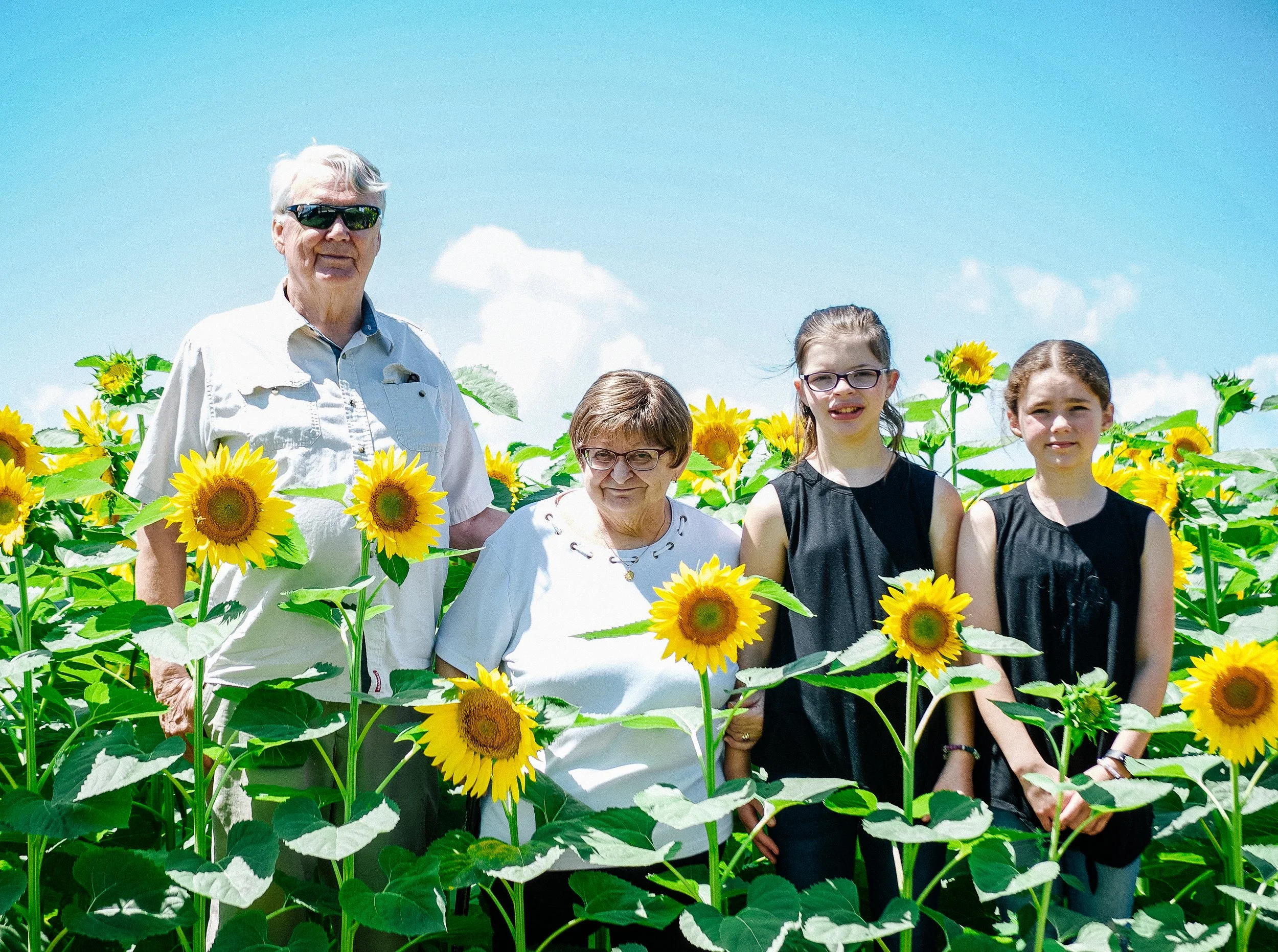 Group of six people, including elderly women and young girls, standing in a sunflower field under a blue sky with clouds.