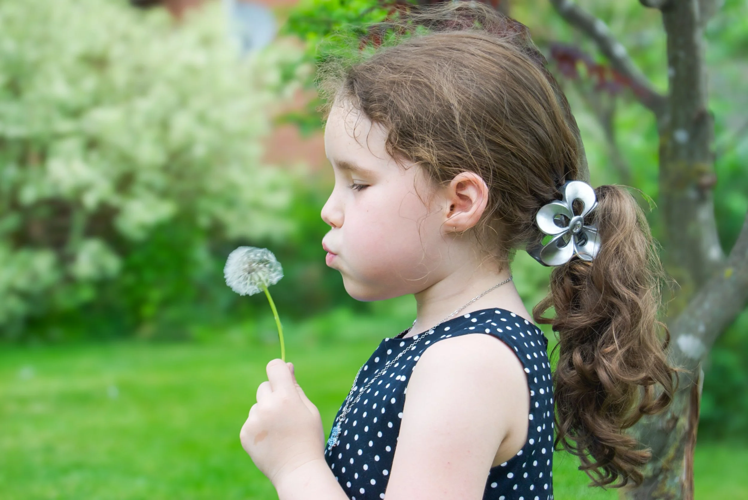 A young girl with long, curly brown hair in a ponytail decorated with a silver flower hair clip, wearing a navy polka-dot dress, holding a dandelion and blowing on it in a lush, green outdoor setting.