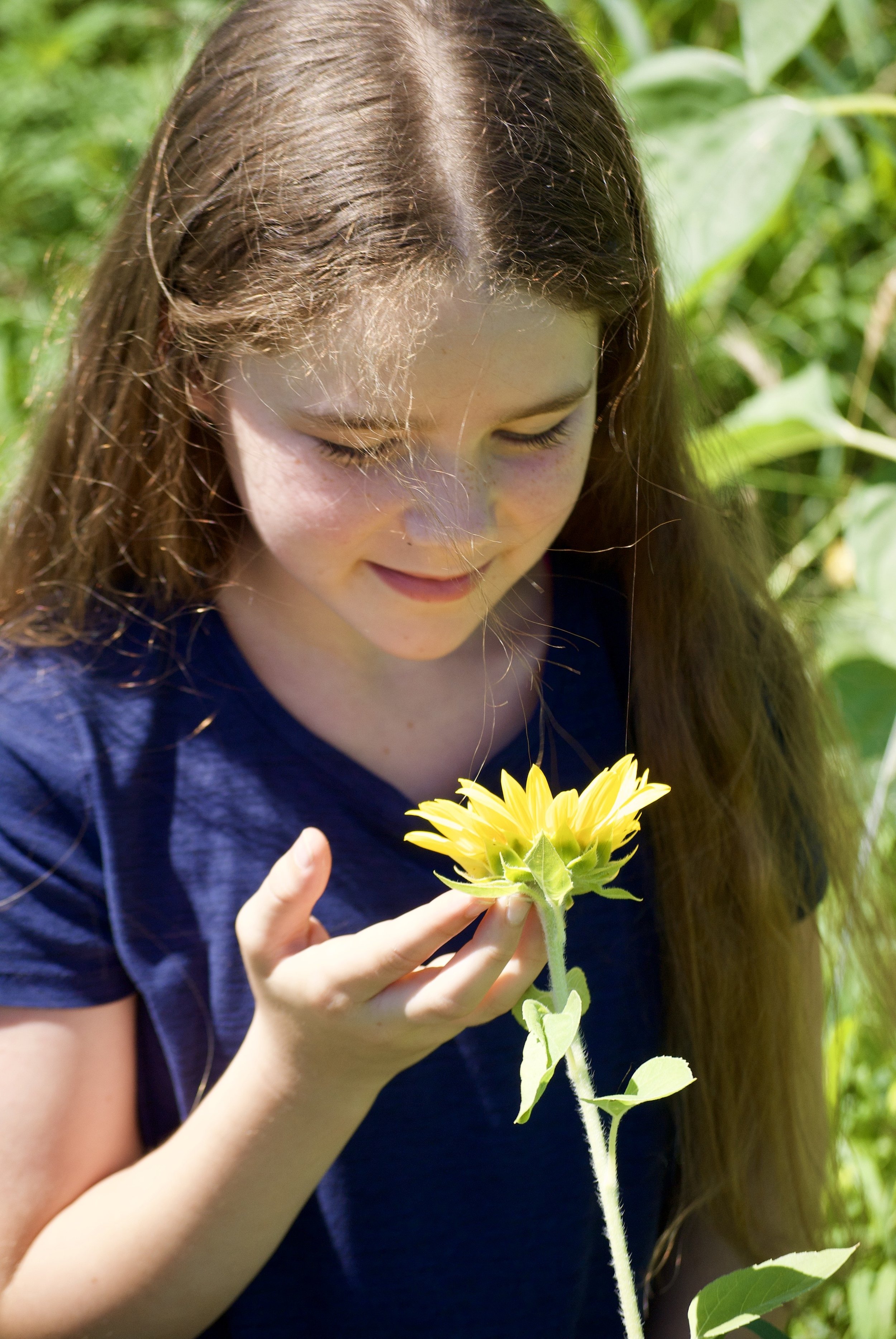 A young girl with long brown hair looking down and smiling while holding a bright yellow sunflower outdoors surrounded by green foliage.