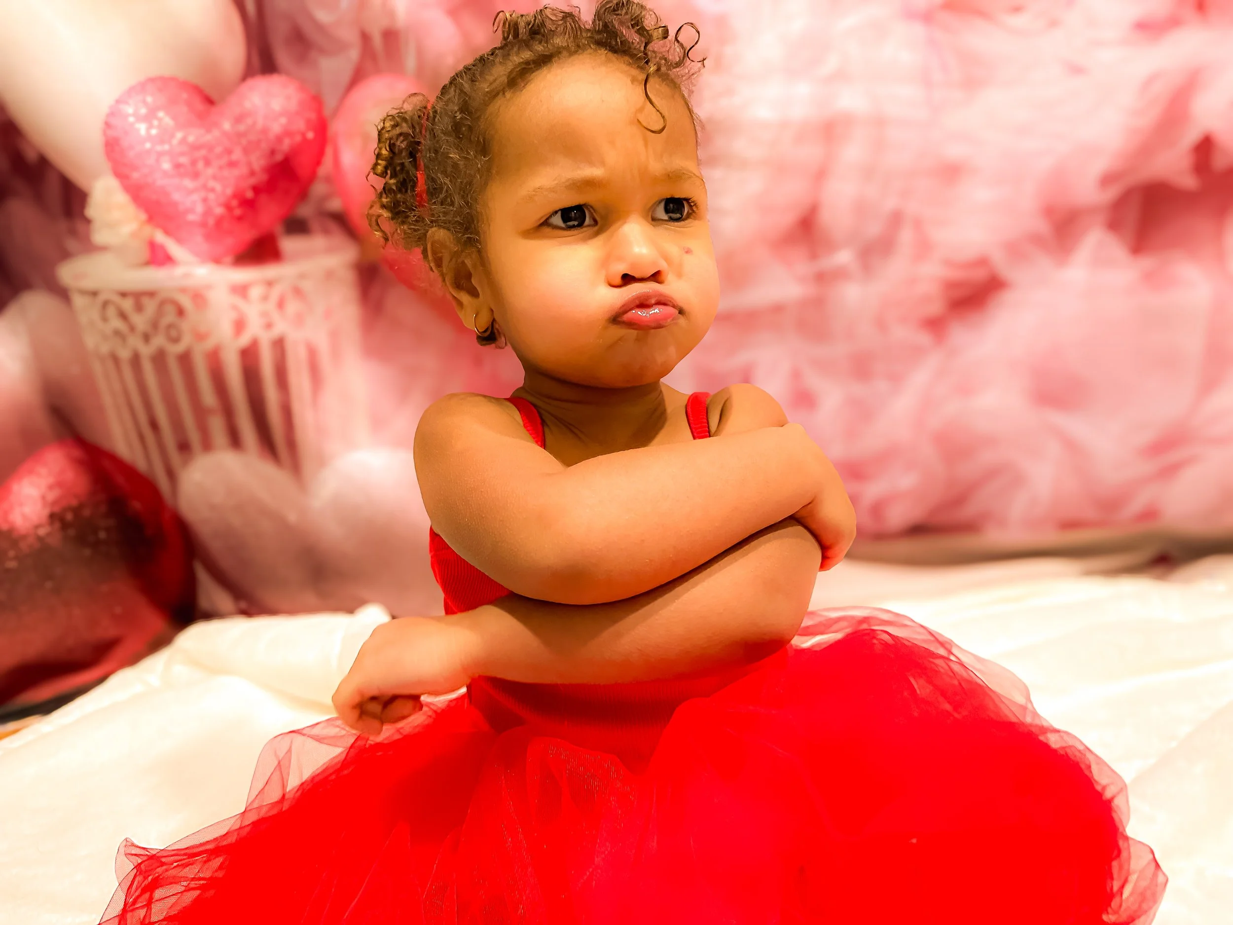 london ON photograper - valentine mini grumpy.jpg