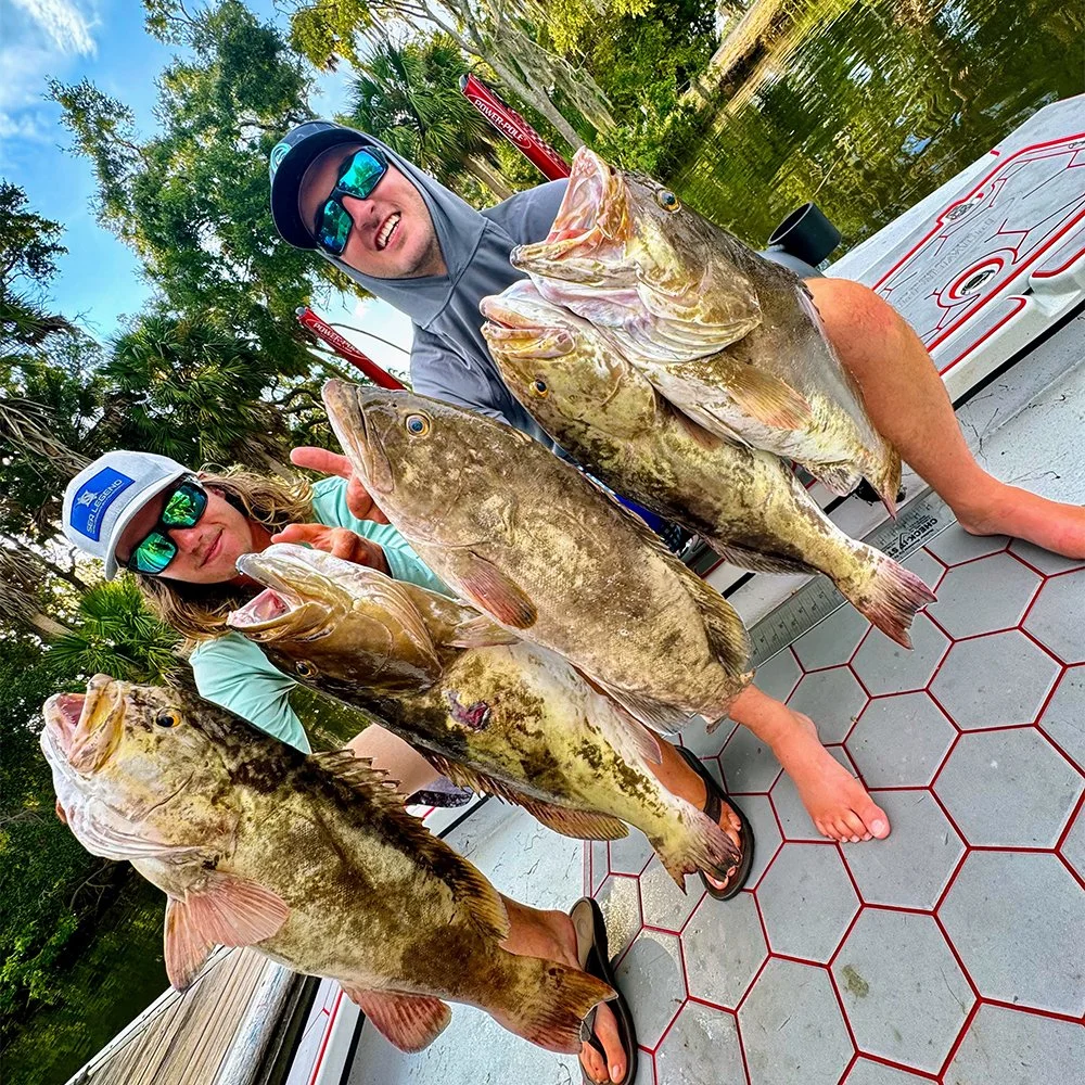 Near Shore Charter (Full Day)
