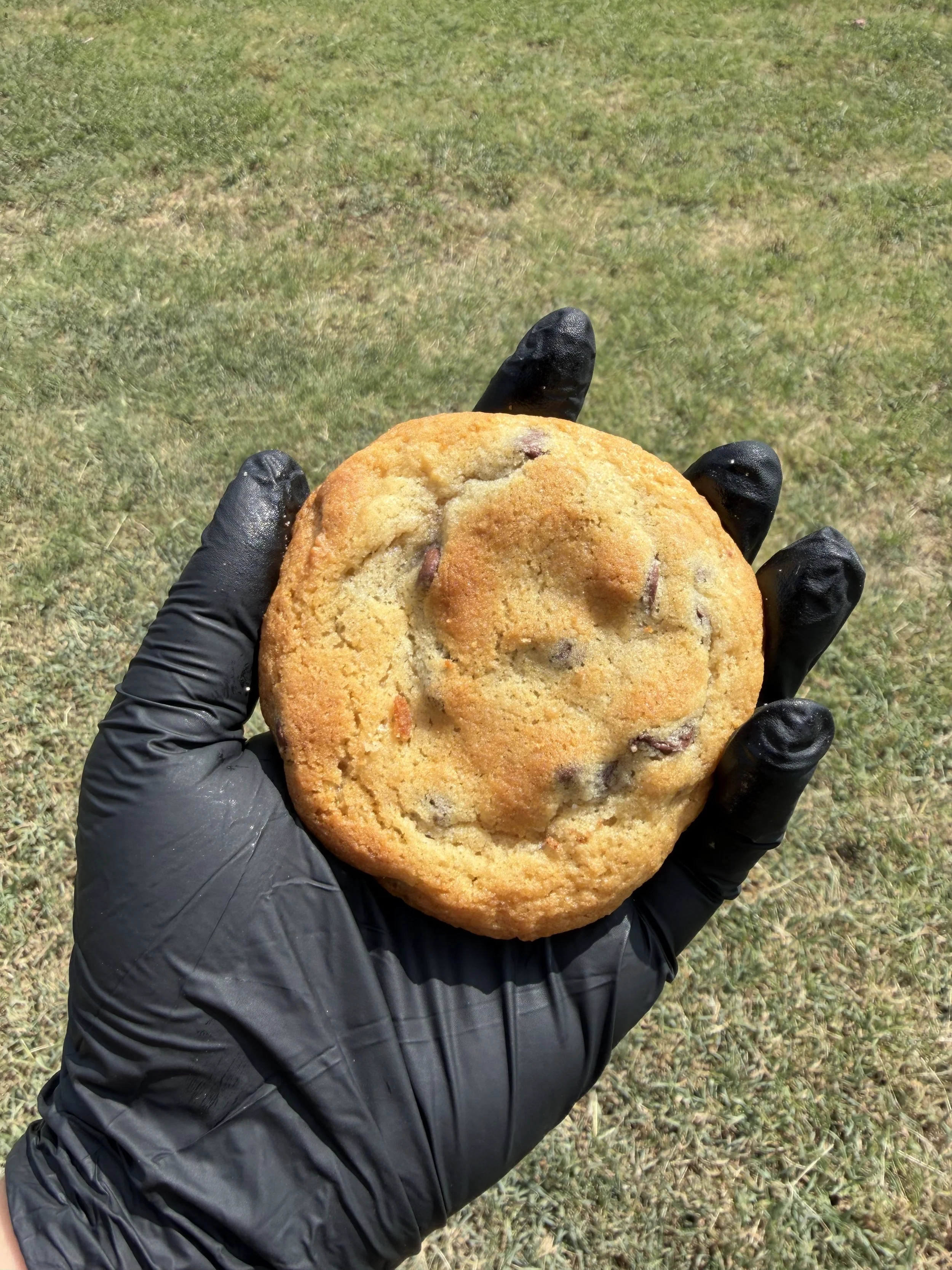 Chocolate chip