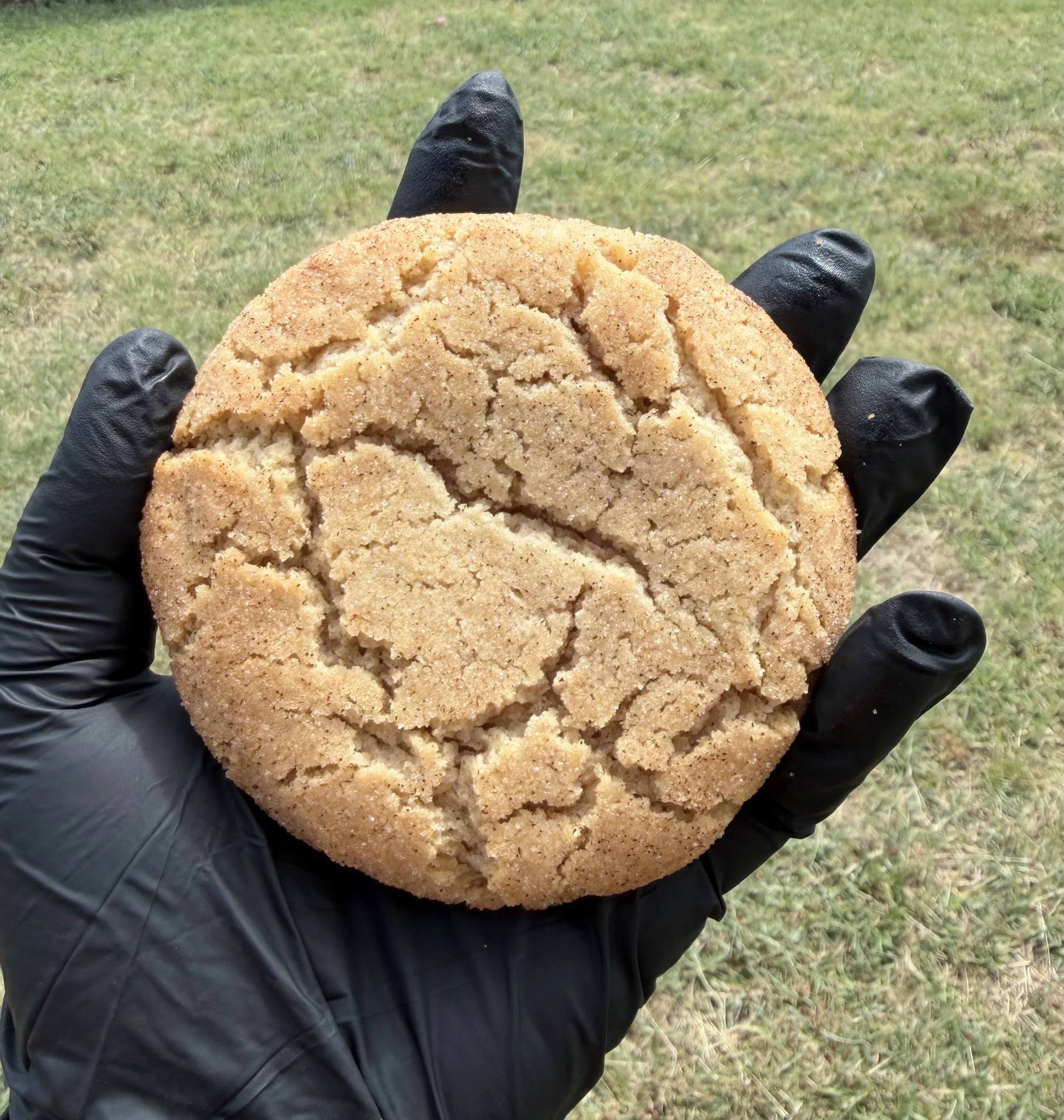 Snickerdoodle