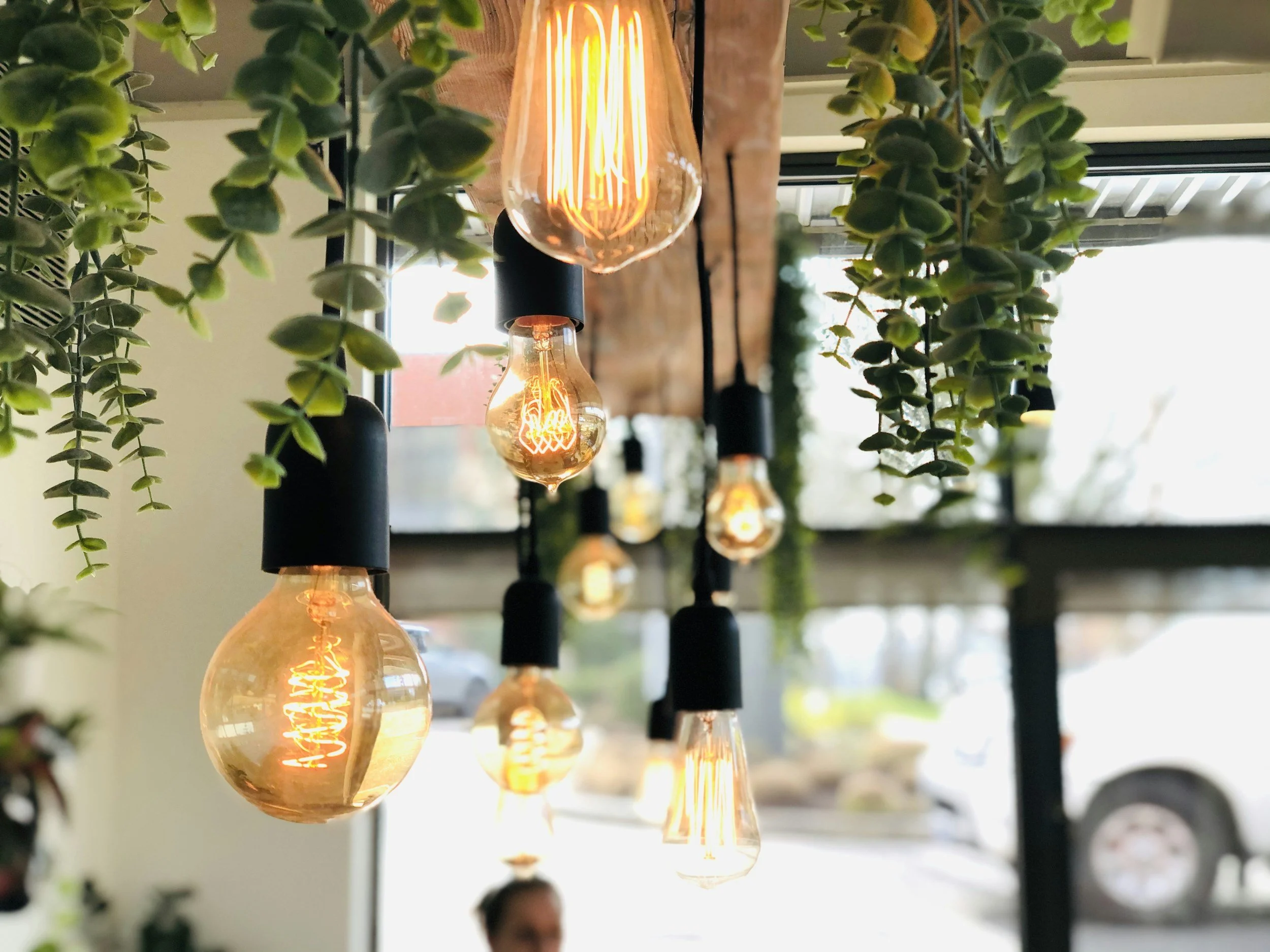 A group of Edison-style filament light bulbs hanging from the ceiling surrounded by green leafy plants, with a window in the background.