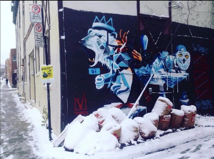 Snow-covered street corner with graffiti of a blue and black lion wearing a crown and holding a scepter on a building wall, along with another owl figure. Construction materials and sandbags are placed at the base of the wall. Art, street art, painte