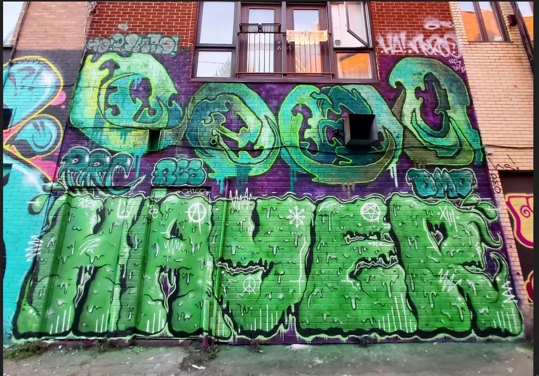 Colorful graffiti art on a brick wall featuring a cartoon-style snake with a hat, and large green letters spelling out "DIME" with dripping effects, stars, and other small designs. Art, street art, painter, mural, graffiti, spray paint, oil paint, mo