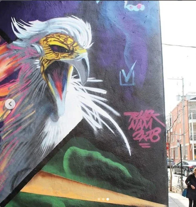 Street art mural featuring a detailed eagle head with a white crest and yellow face, set against a purple background with a blue checkmark and pink graffiti tags. Art, street art, painter, mural, graffiti, spray paint, oil paint, montreal, commission