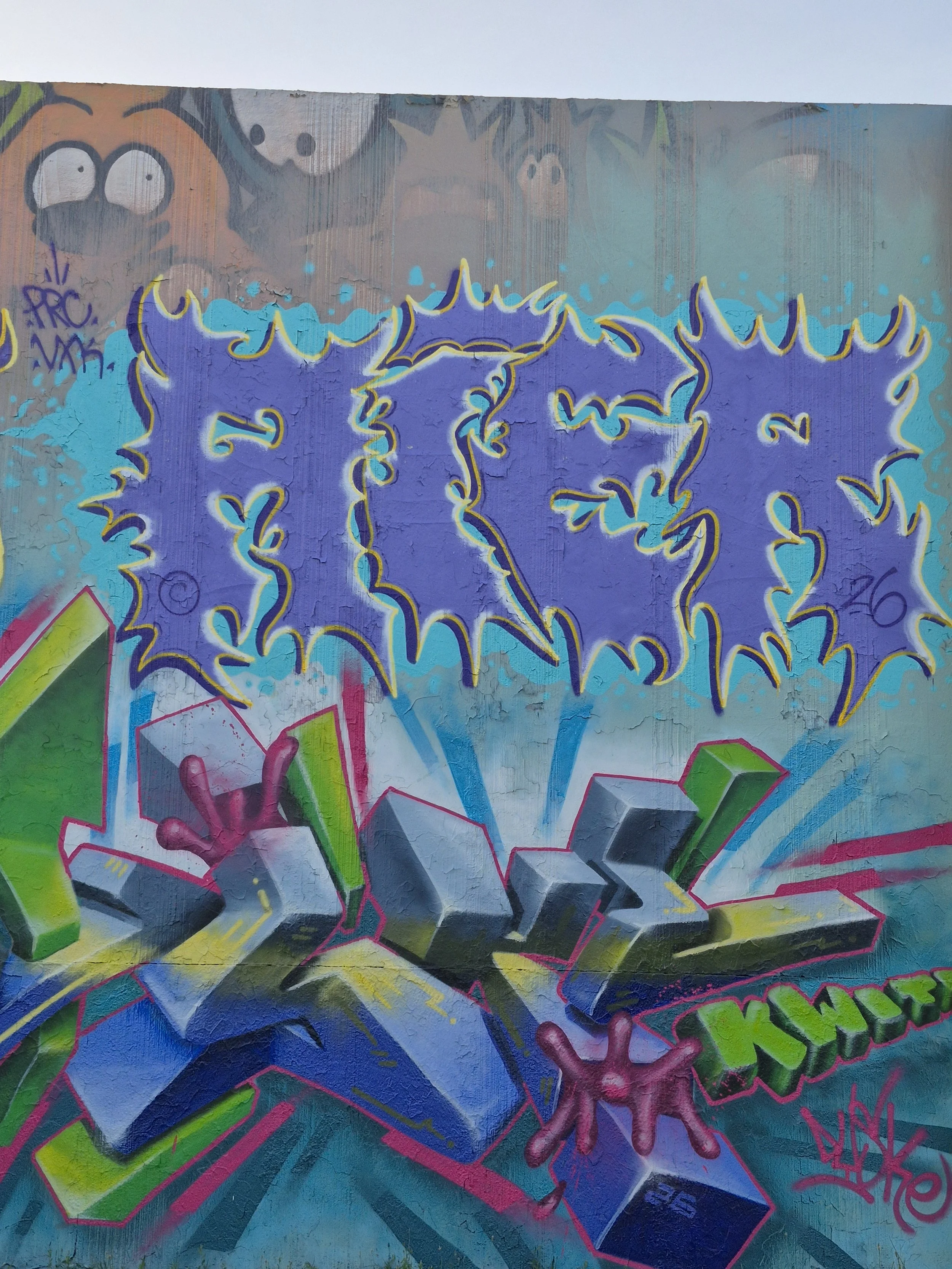 HAYEURS – Artiste graffiti spécialisé dans le lettrage percutant et les personnages stylisés.