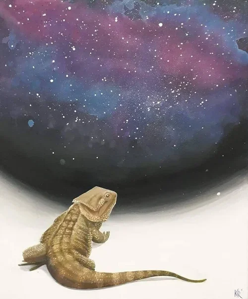 A bearded dragon lizard sitting on a white surface, looking up at the colorful galaxy-like painting on the black background wall.