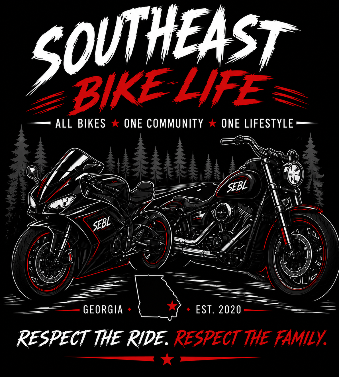 Sports and Baggers Bike