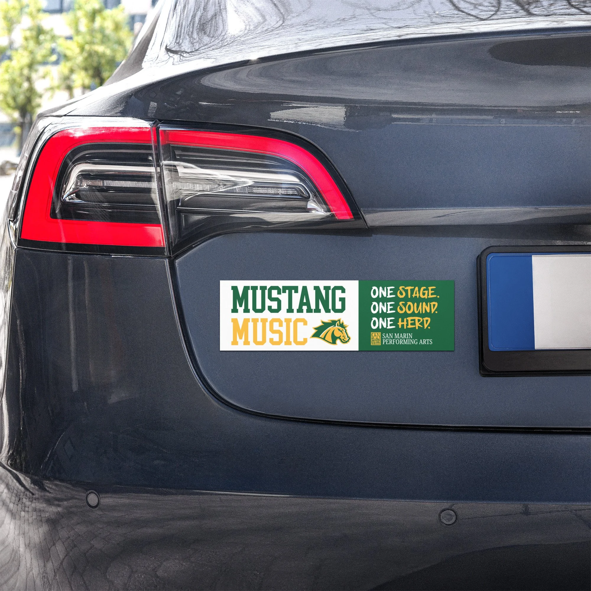 car-magnets-white-10x3-front-6a7d20ff9194c.jpg