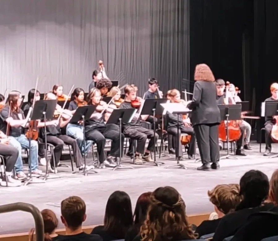 High school students in a school orchestra playing string instruments under a conductor on stage during a performance, with an audience watching.