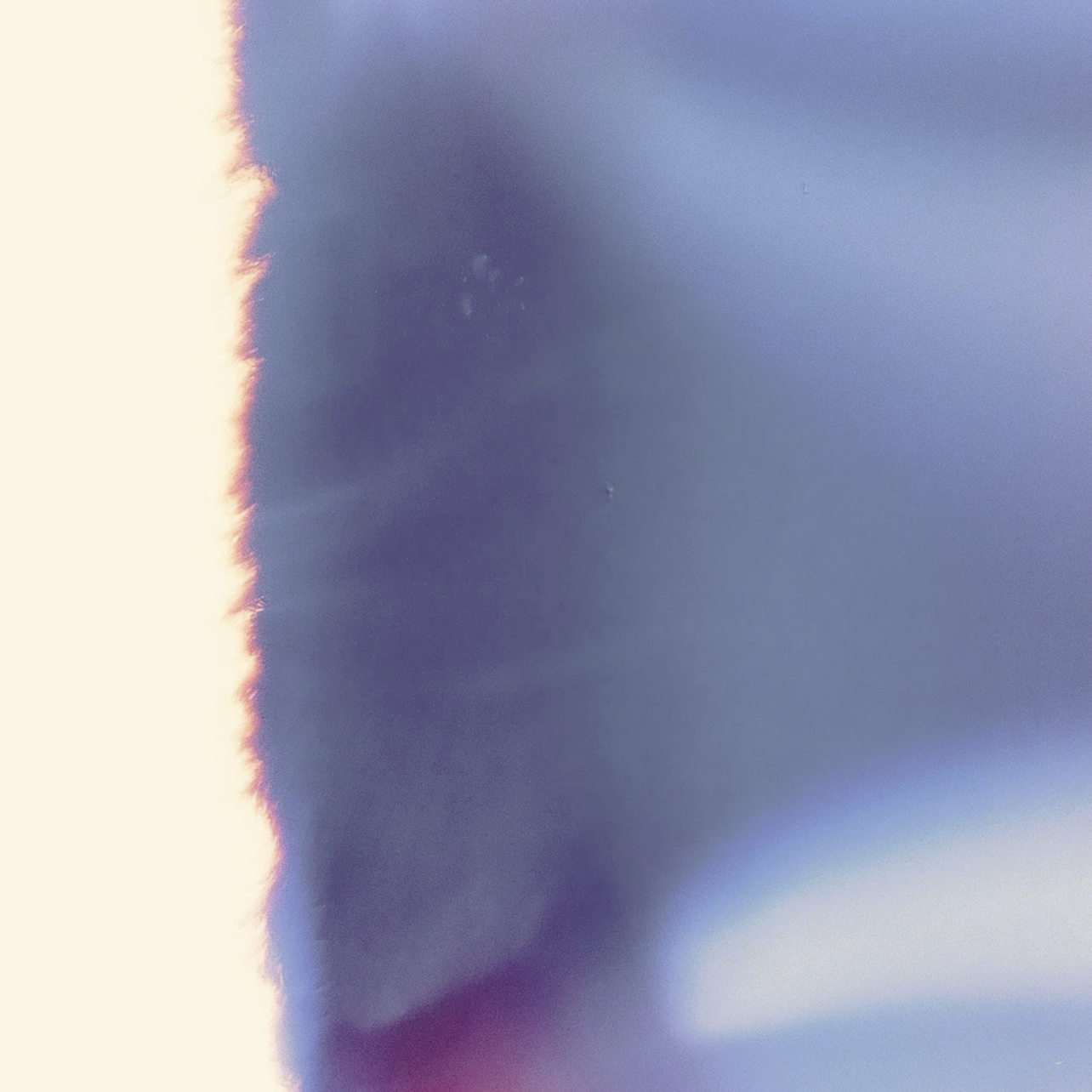 A blurry close-up photograph of a person with their face partially visible, with a dark background and a gradient of light from the side.