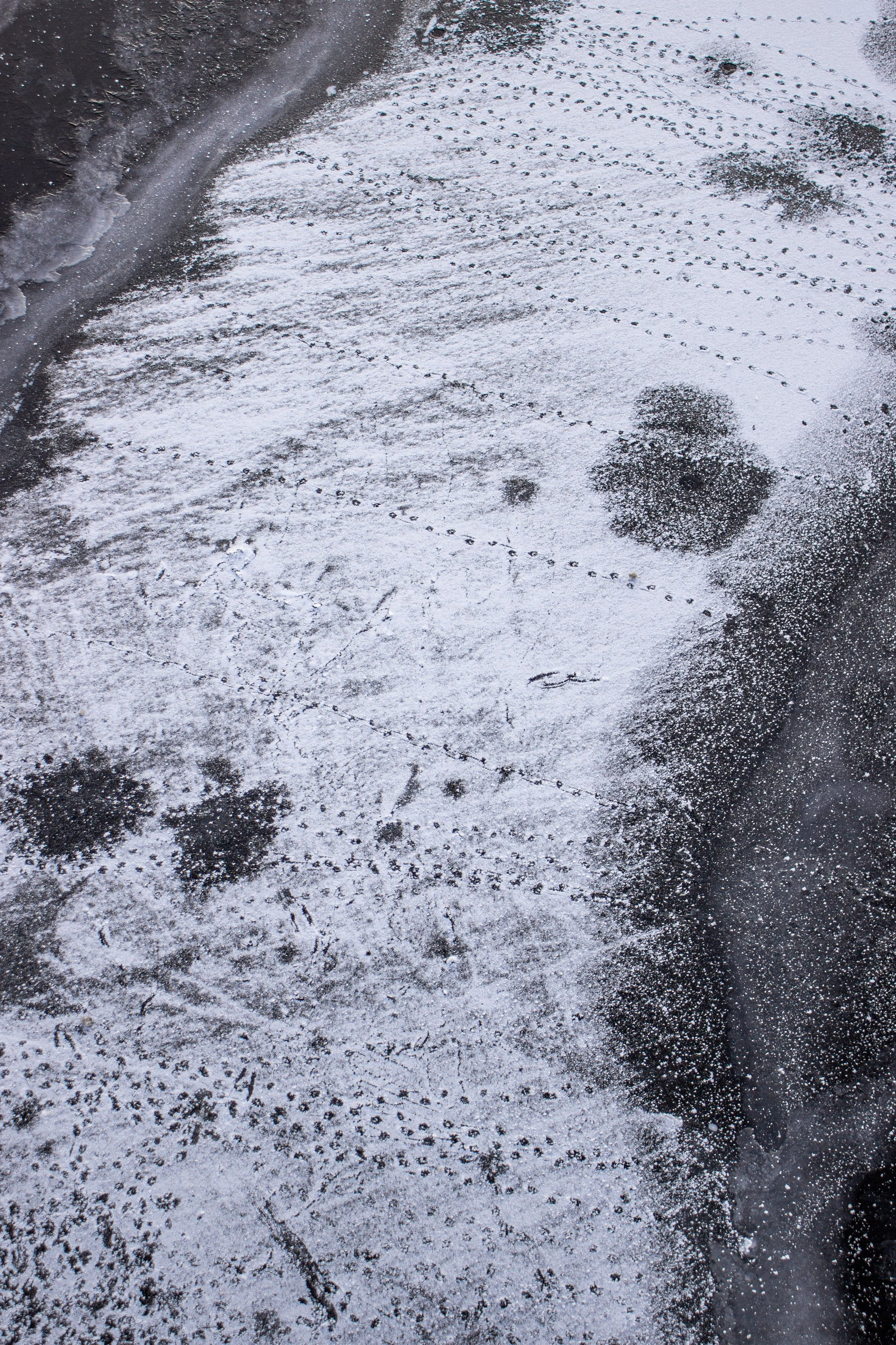 Snow-covered asphalt with visible tire tracks and footprints.