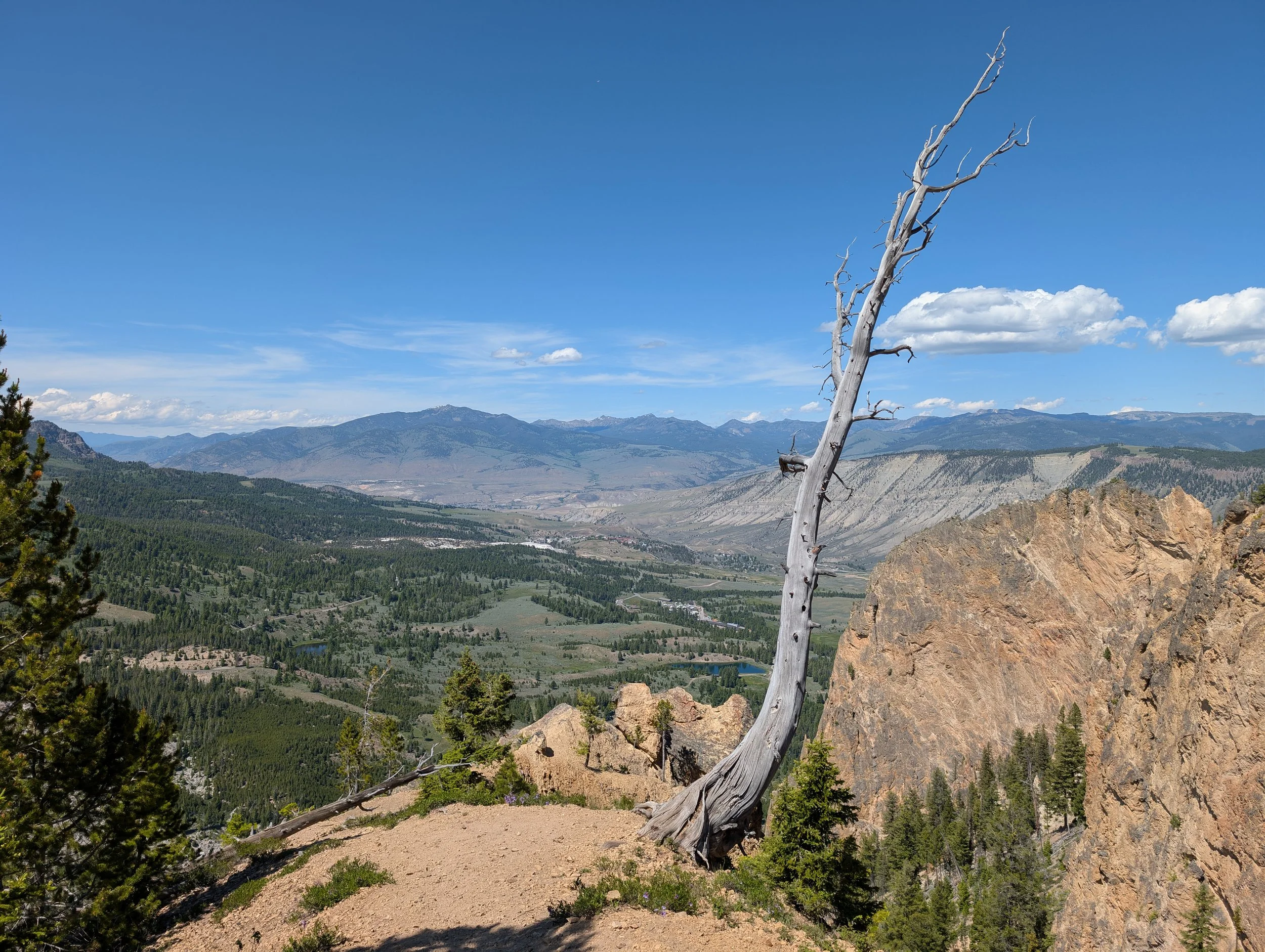 Bunsen Peak