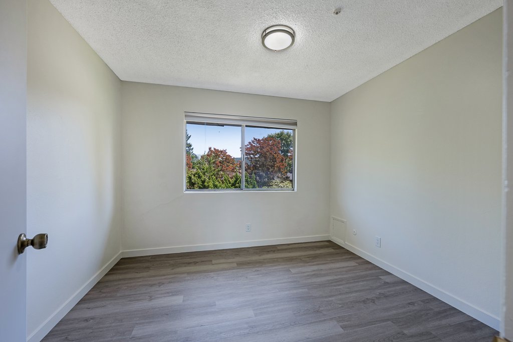 Empty room with white walls, a window showing trees outside, a ceiling light fixture, and wood-like flooring.