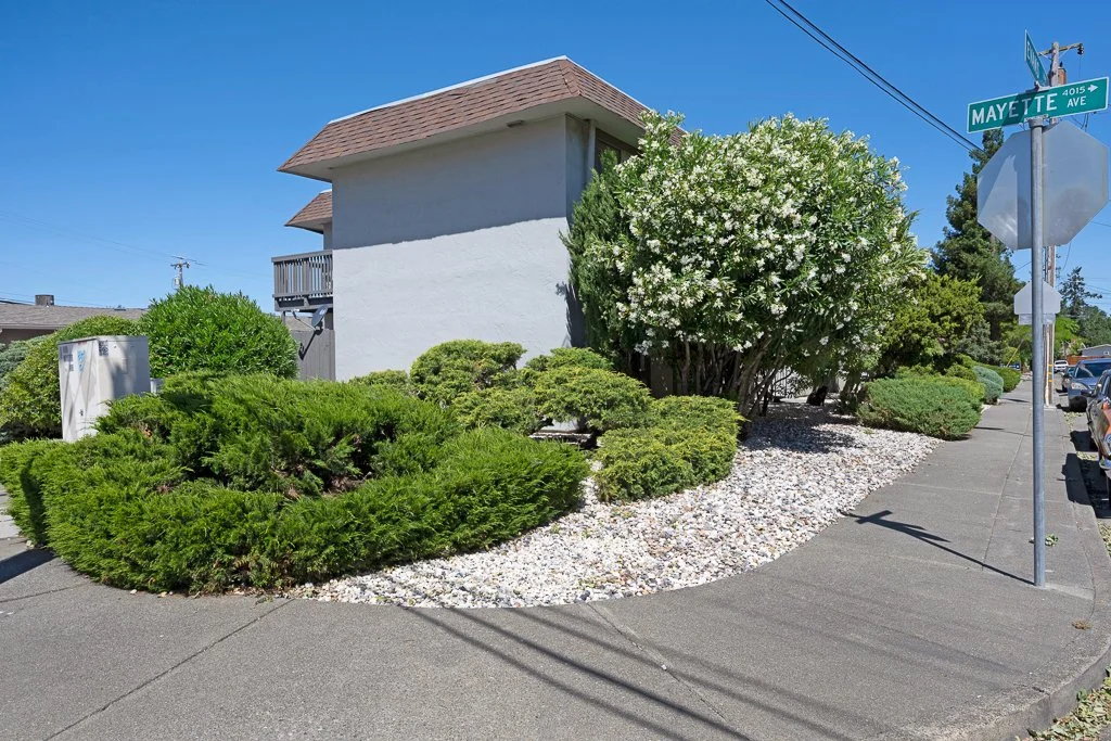 Corner of a sidewalk with lush green bushes and a flowering shrub near a grey building at the intersection of Mayette Avenue, under a clear blue sky.