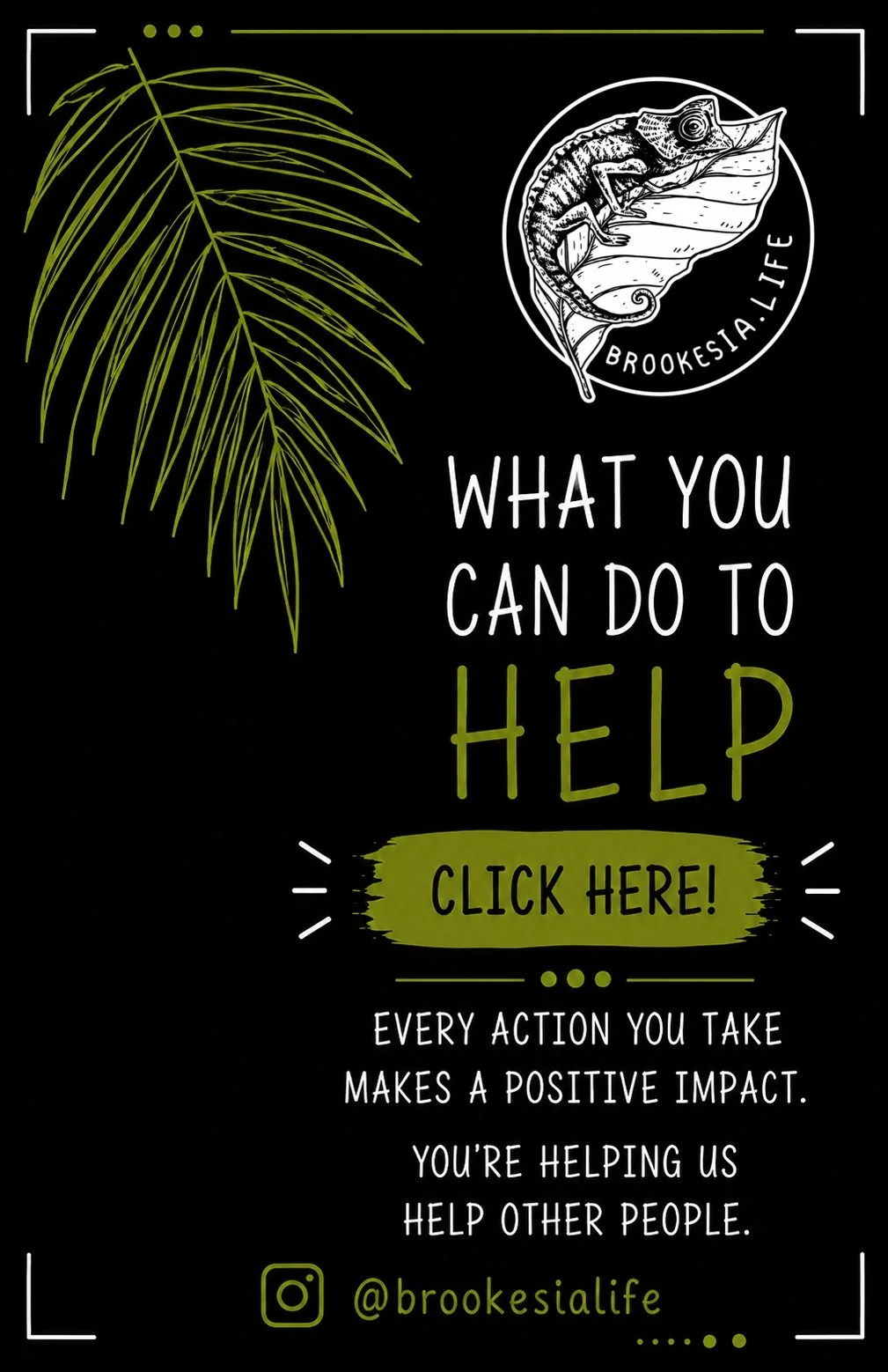 What you can do to help